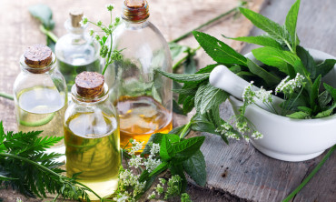 أنواع الأعشاب الطبية والأمراض التي تعالجها